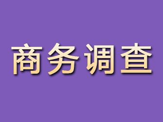 麻城商务调查